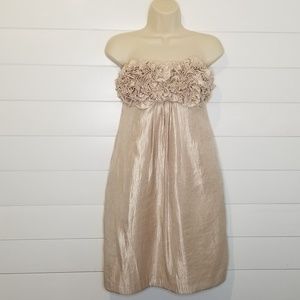 Boston Proper Ruffle Bust Gold Dress M